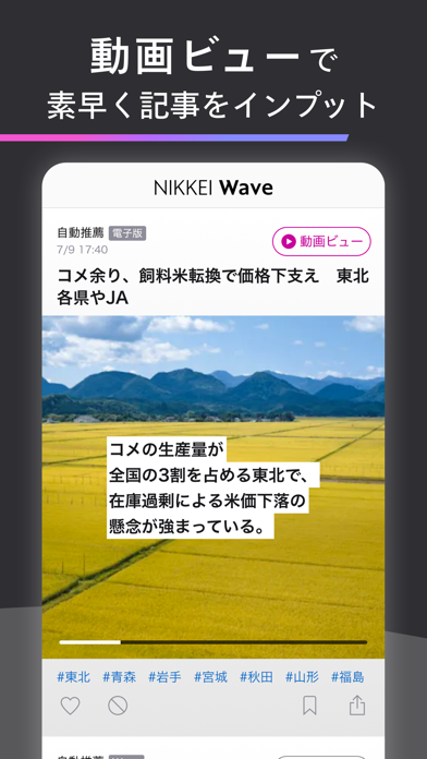 Nikkei Wave Screenshot