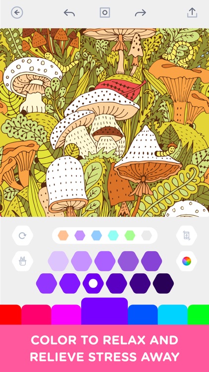 Coloration Adult Coloring Book