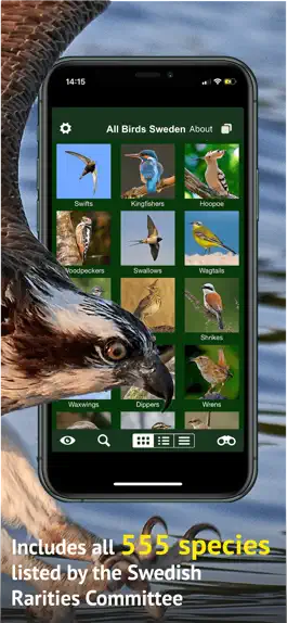 Game screenshot All Birds Sweden - Photo Guide hack