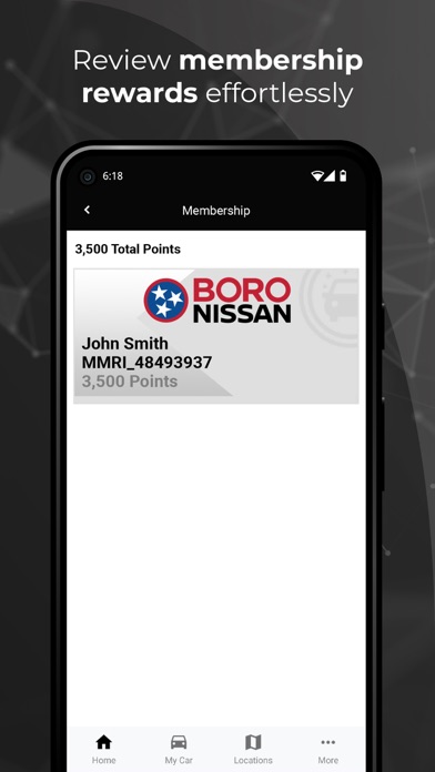 Boro Advantage Screenshot