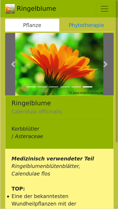 PhytoApp Heilpflanzenwissen Screenshot