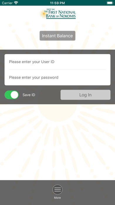 First National Bank of Nokomis Screenshot