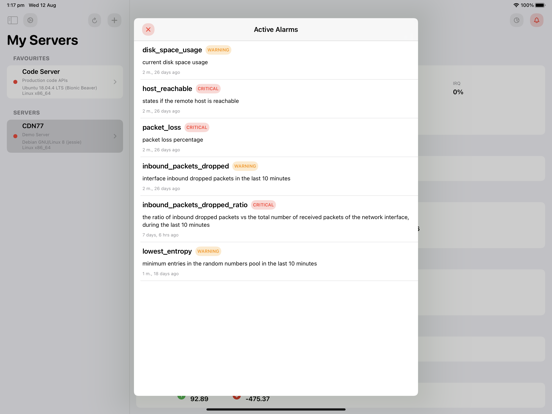 Netdata server monitoring iPad app afbeelding 2