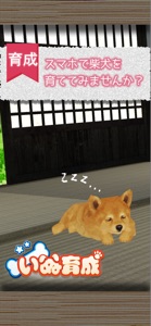 Shibainu Dog Simulator 3D screenshot #1 for iPhone