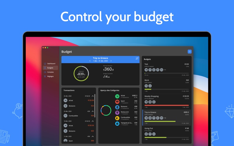 Screenshot #2 pour Moneyboard Pro Budget Dépenses