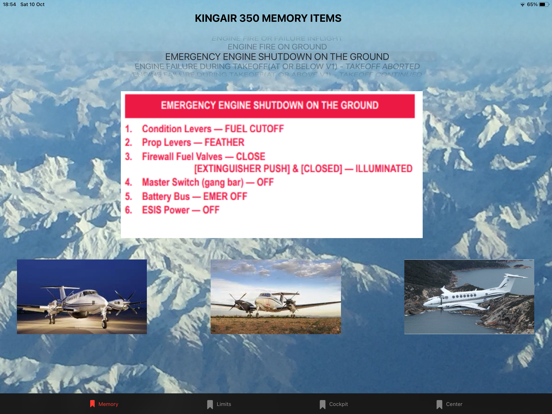 Screenshot #4 pour B350 Flight Ops