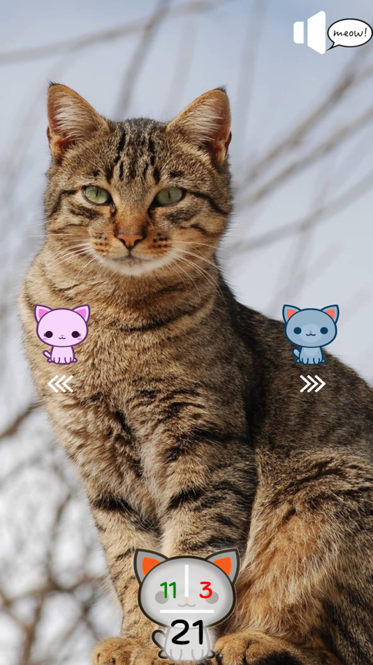 #5. Cat's Nerd (iOS) 由: Maryna Kostenko