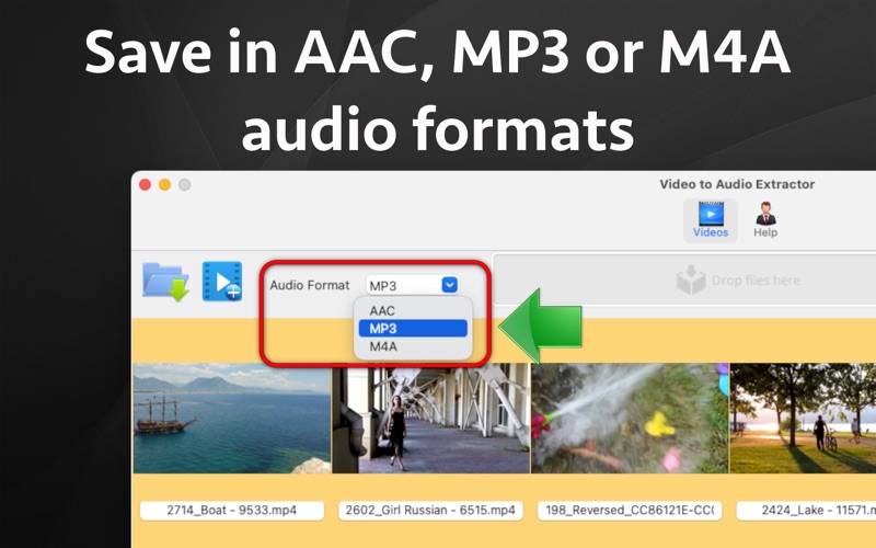 Screenshot #2 pour Video to Audio Extractor