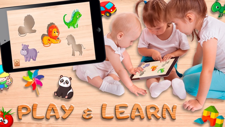 Toddler Puzzles Wooden Blocks