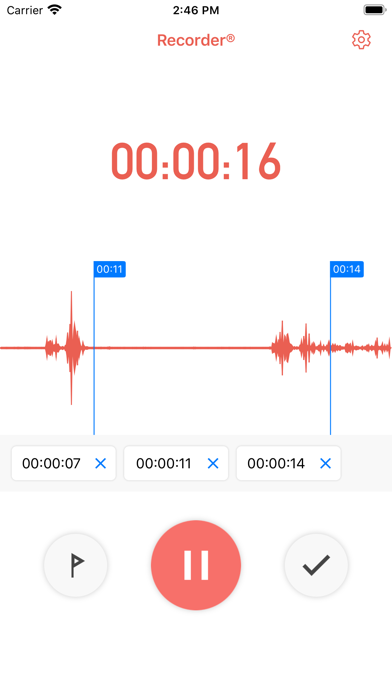 Recorder - Voice & Audio Screenshot