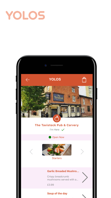 YOLOS Screenshot