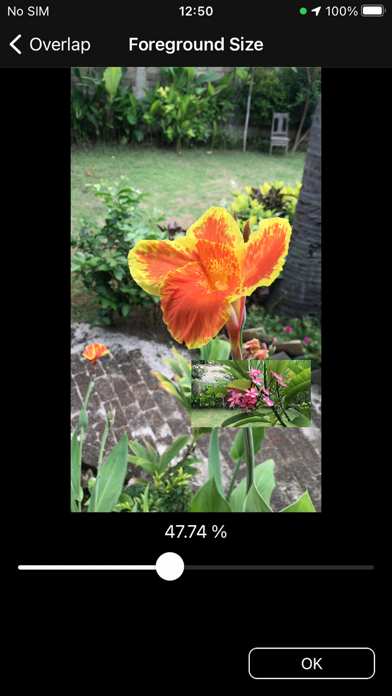 Screenshot #3 pour Overlap Lite