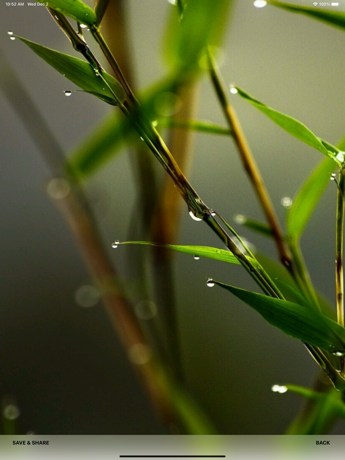 Planet Earth Wallpapers HD