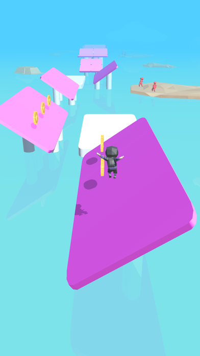 Ninja Race 3D Screenshot