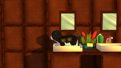 My Lovely Kitty Cat Screenshot