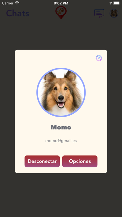 Dog Chat - Dogs Chats Screenshot