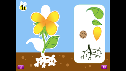 Naming Plant&Animal Parts Lite Screenshot