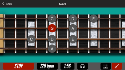 Bass Gym with MarloweDK Screenshot