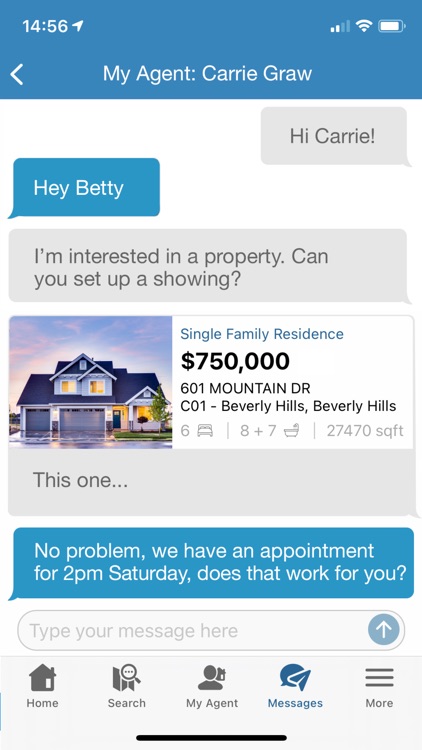 MLS-Client screenshot-6