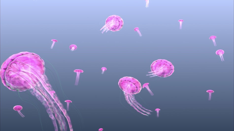 #6. Jellyfish Chrysaora (iOS) 由: Sensory App House Ltd