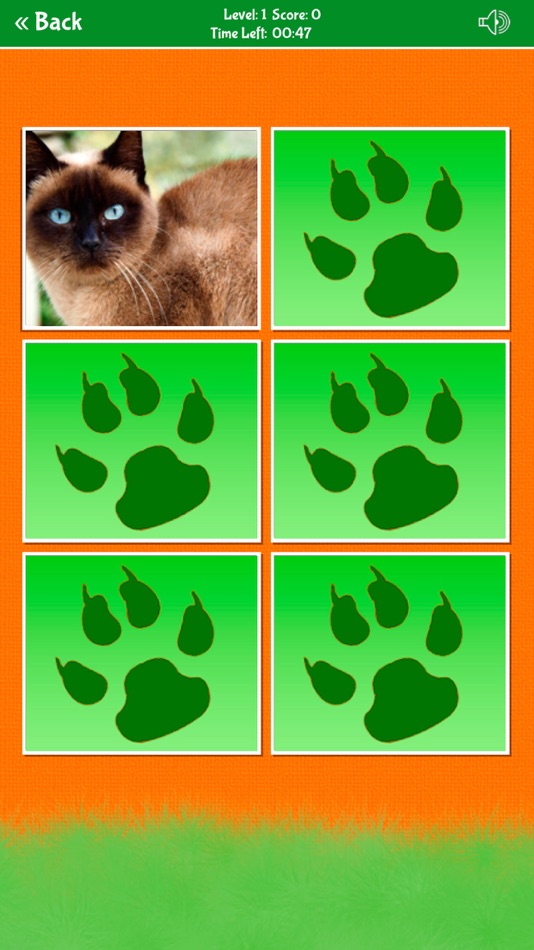 #5. Zoo Animals Matching Game (iOS) 게시자: Edise Soluciones SL