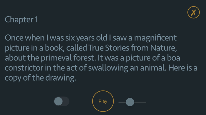 The Little Prince - AudioBook