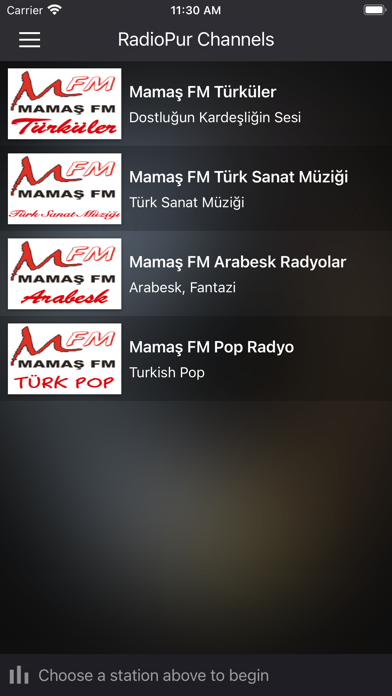 Radio Pur Screenshot