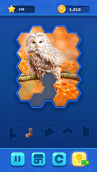 Screenshot #2 pour Hexa Jigsaw Challenge