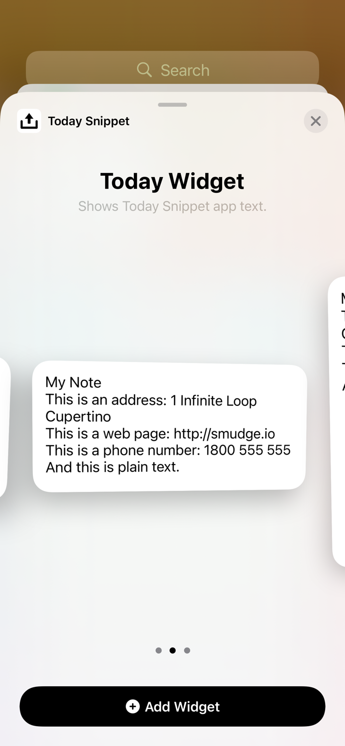 Today Snippet Widget