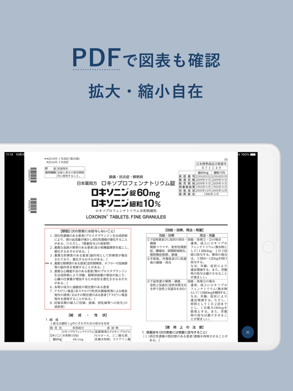 ヤクチエ添付文書 iPad screenshot 5 - Medical app