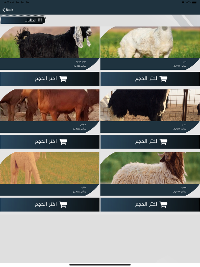 ربوة الرياض للذبائح