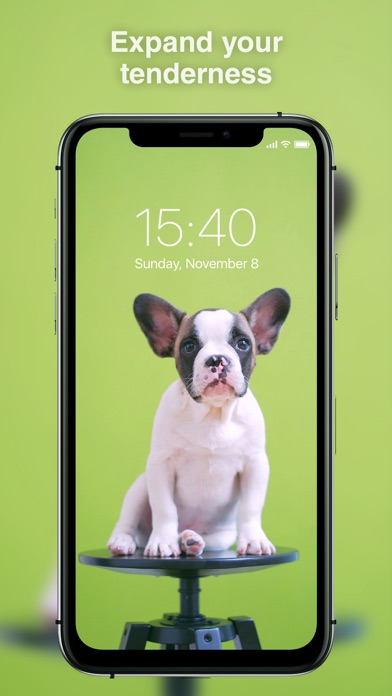 Best Live Wallpapers 4K Screenshot