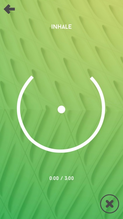 The Accomplished Brain App screenshot-7