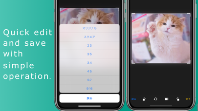 Movie Capture Screenshot