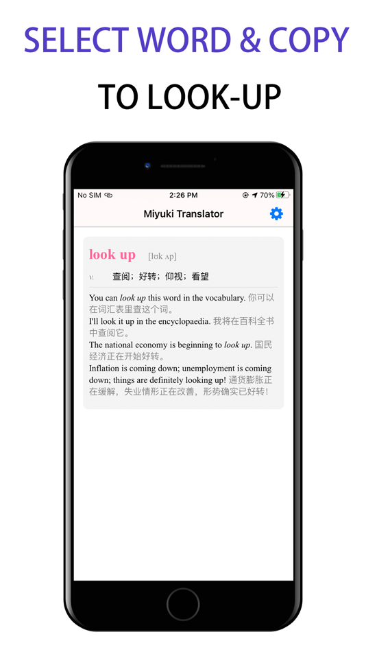 #2. MIYUKI Translator (macOS) 由: 志勋 刘