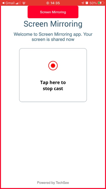 TechSee Instant Mirroring