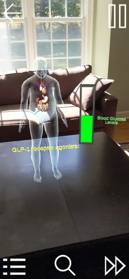 Game screenshot Individualizing Diabetes Care apk