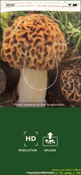 Game screenshot Mushrooms app apk