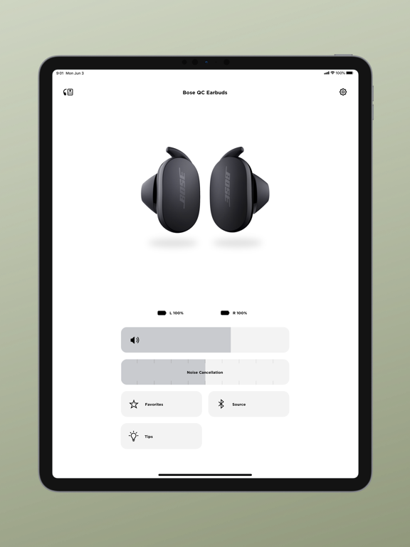 iPad Image of Bose Music