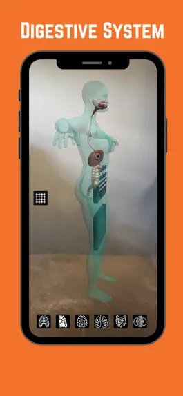 Game screenshot Complete Anatomy with Sisanda apk