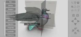 Game screenshot 3D Bird Anatomy mod apk