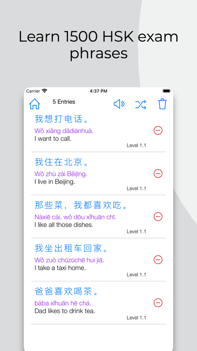 Master Chinese: Phrases Screenshot