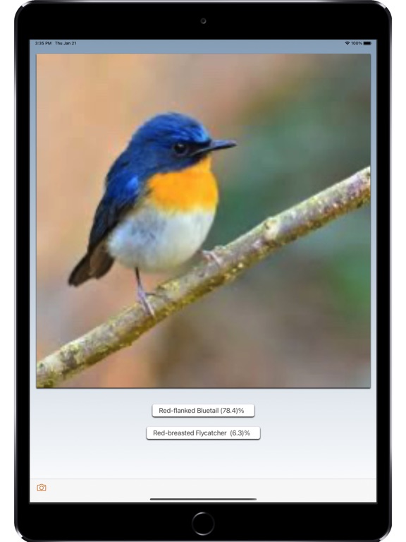 Bird ID: Use AI to id birds Screenshots