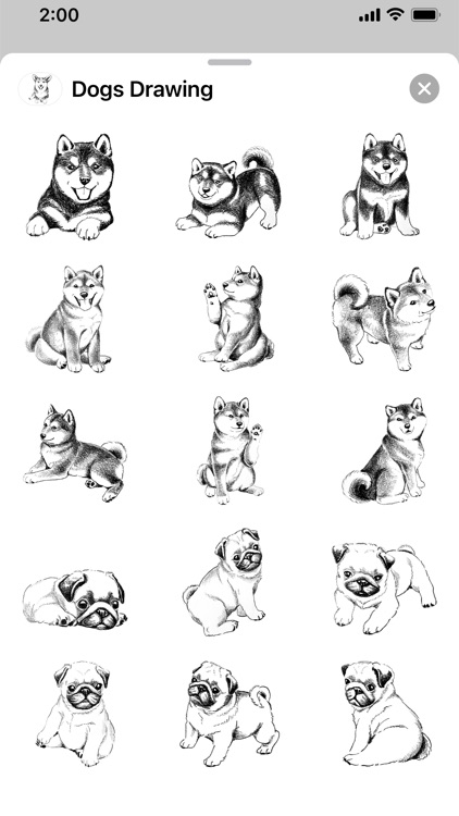 Dogs Drawing screenshot-5