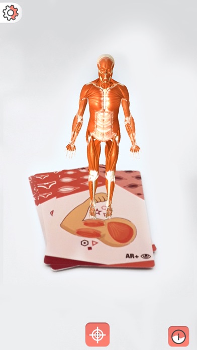 Body cards Screenshot