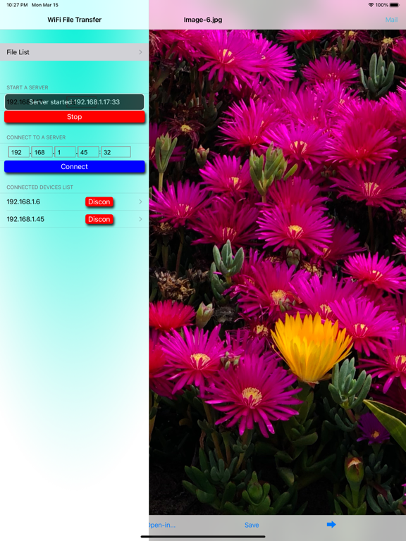 Screenshot #4 pour WiFile