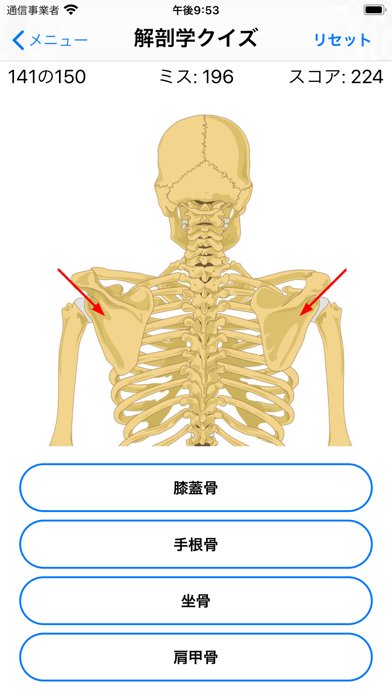 解剖学クイズ screenshot1