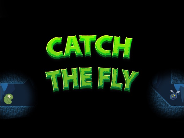 Fly catcher game deals