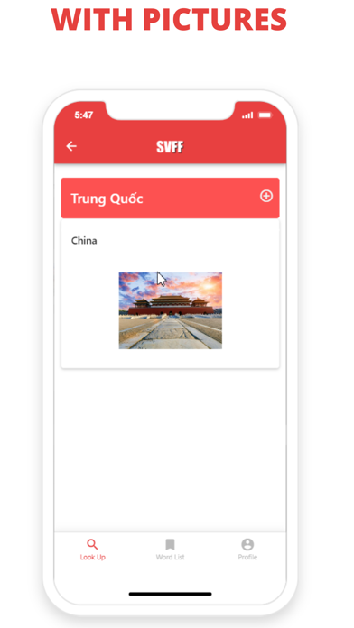 SVFF Dictionary Screenshot