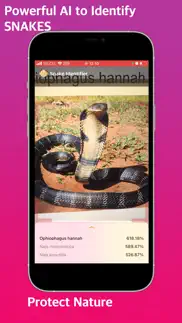 snake identifier iphone screenshot 2